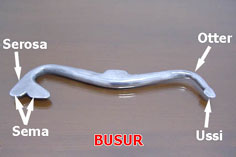 Busur