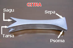 Citra