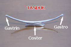 Tanduk
