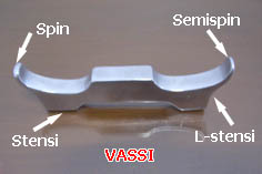 Vassi